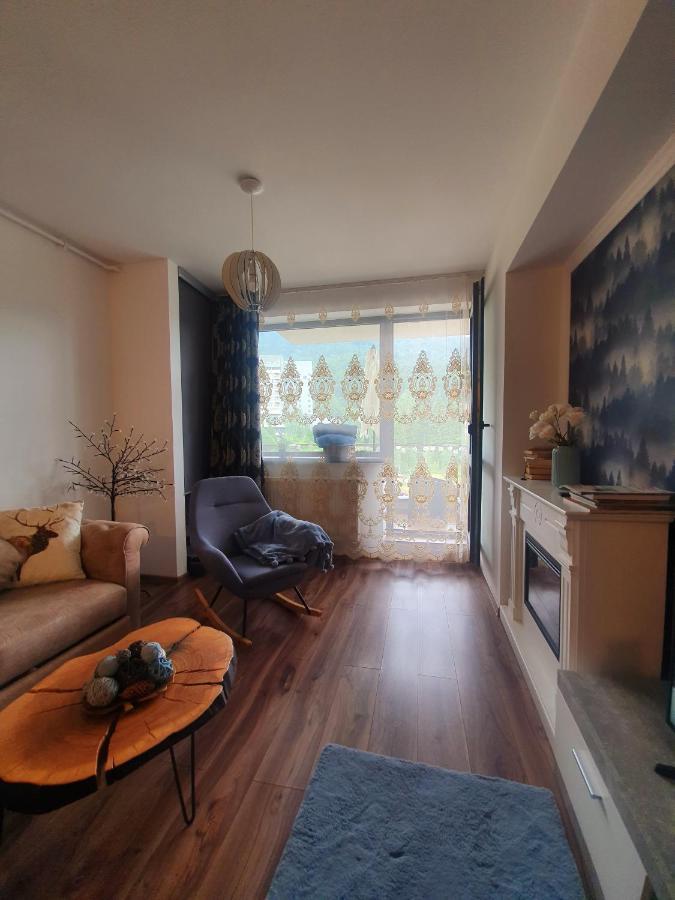 Vintage Home Σινάια Εξωτερικό φωτογραφία